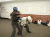 Sparring March 2005